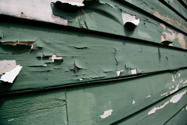 Best Fascia and Soffit Installation  in Margaret, AL