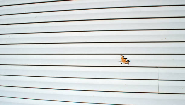 Best Wood Siding Installation  in Margaret, AL