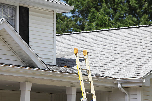 Best Siding Painting and Refinishing  in Margaret, AL